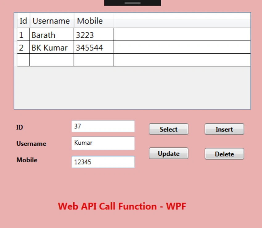 CRUD Web API Service Call Function In WPF Application