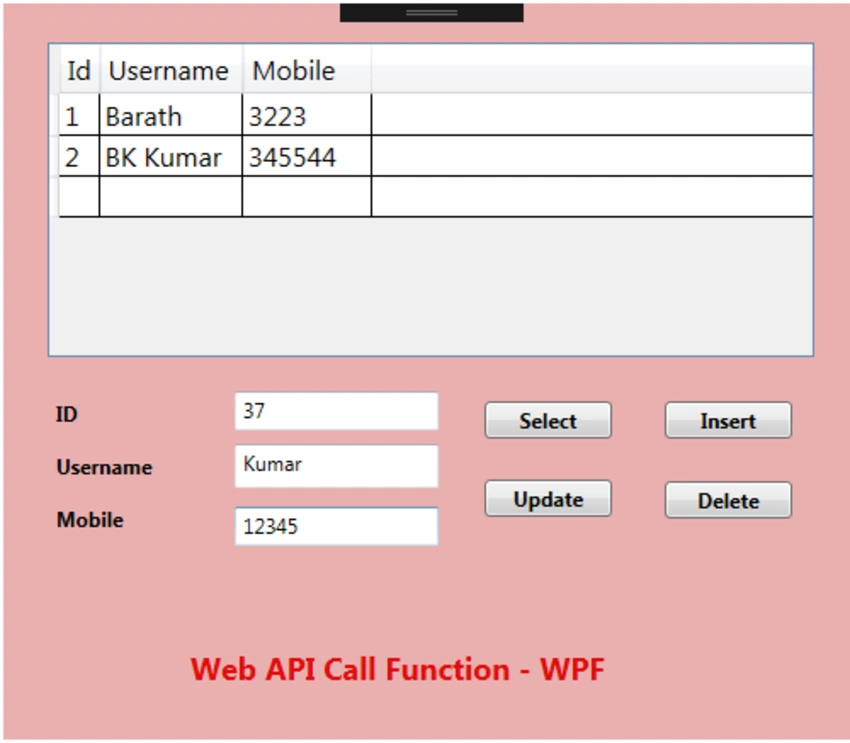 CRUD Web API Service Call Function In WPF Application
