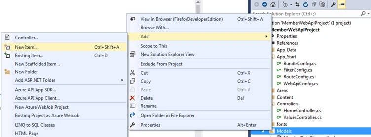 CRUD with Asp.Net Web API