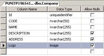 Database Table schema