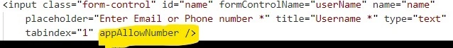 Input Field