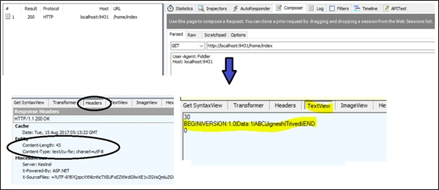 Custom Formatters In ASP.NET Core