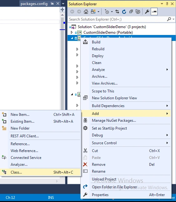 Customize Slider control