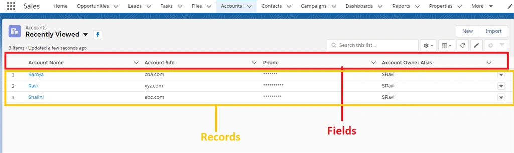 Data Model In Salesforce CRM