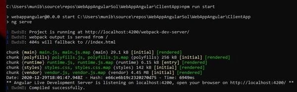 npm run start
