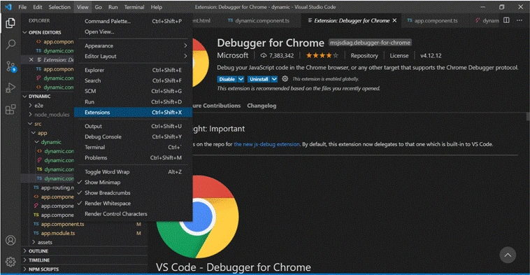 Debugging Angular 11 Application In Visual Studio Code