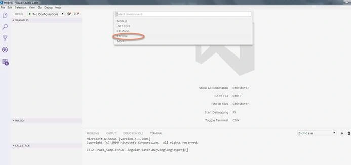 Visual Studio