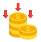 Cost Efficiency