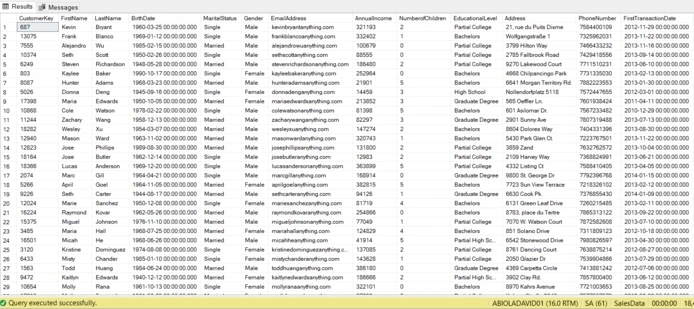 Fetch all data from DimensionCustomer