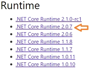 Runtime-.
