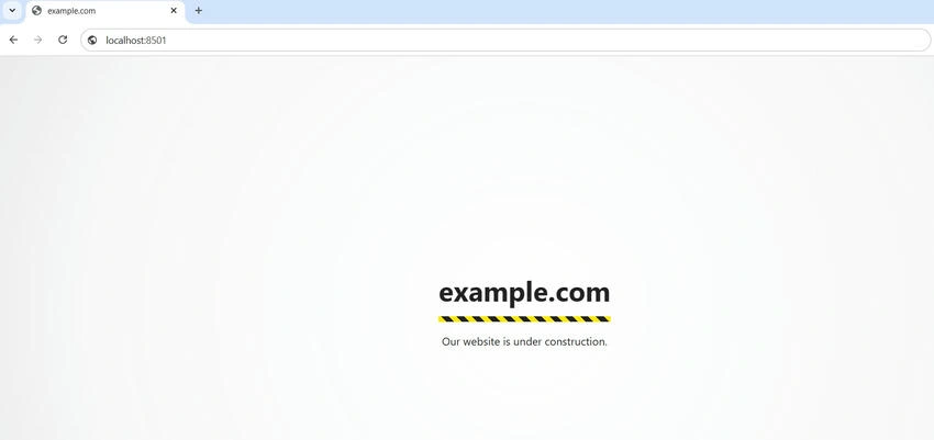 Example