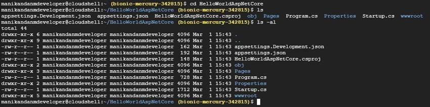 Building and Launching an ASP.NET Core App from Google Cloud Shell