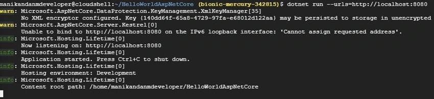 Building and Launching an ASP.NET Core App from Google Cloud Shell