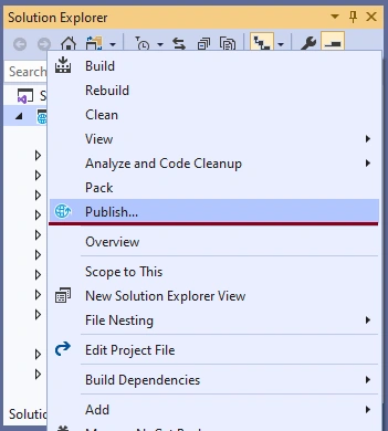 Deploying ASP.NET Core And DotVVM Web Applications To A Virtual Machine In Azure