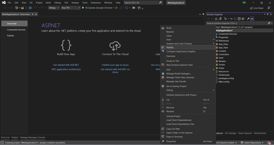 Deploying Asp.net MVC Application on IIS Server