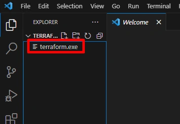 terraform.exe img