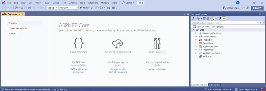 Web API