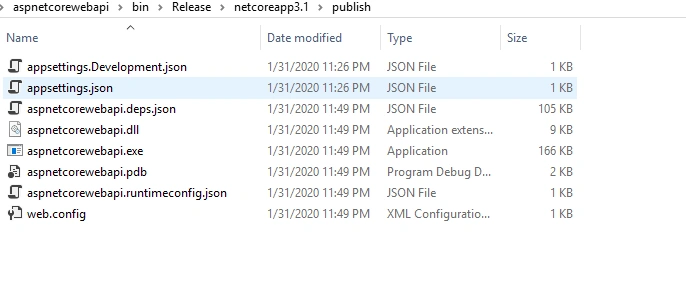 Deployments Modes In .NET Core 3.1