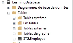 Design the Full Load and Delta Load patterns in SSIS