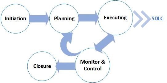 Developers Professional Practice Guidelines For Project Management And Software Development Lifecycle Process