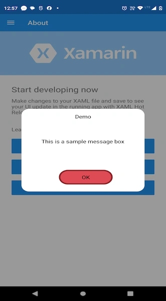 Self Defined MessageBox in Xamarin
