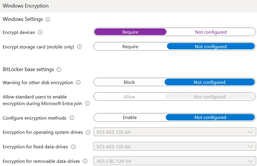 Windows Encryption