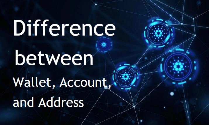 Difference b/w account, wallet and address