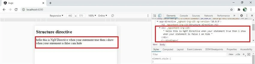 Structure Directive