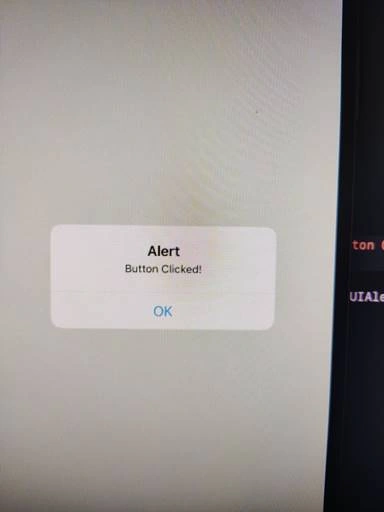 Display Alert Box In Swift
