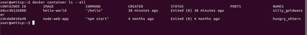 Docker Integration With Node.js Rest API
