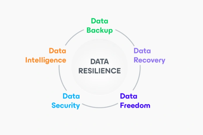 Data Resilience
