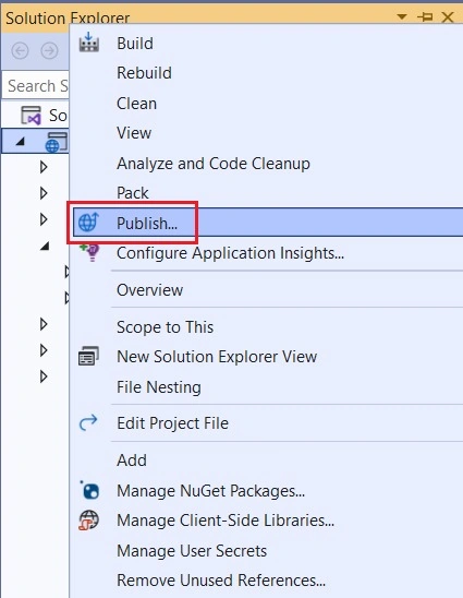 Solution Explorer-17