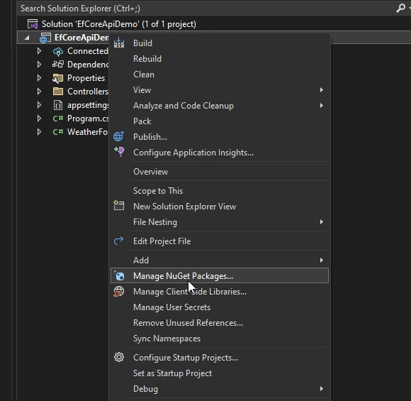 EF Core in .NET 7 API