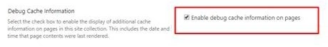 Debug cache information