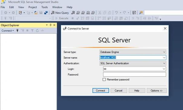 Entity Framework Core with SQL Server in Docker Container