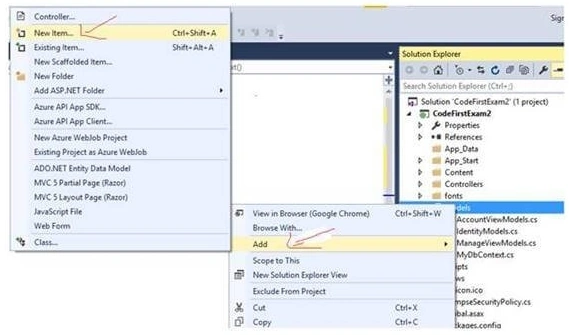 Solution Explorer