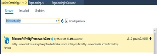 NuGet Package
