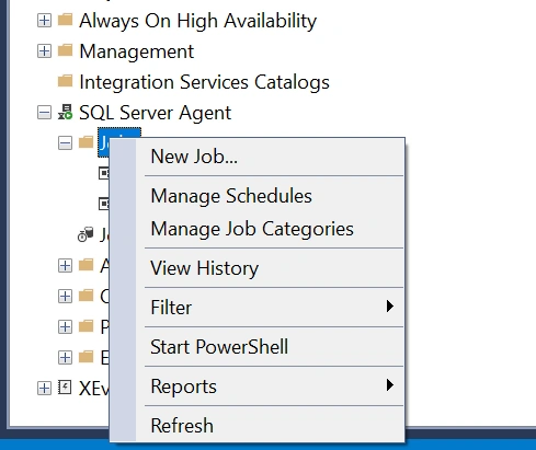 Execute Stored Proc Using SQL Job