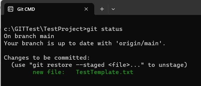 Test Templete