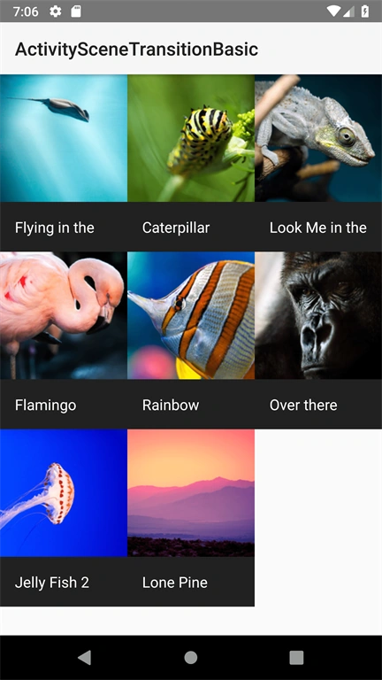 Explode Animation - Activity Transition With Shared Elements