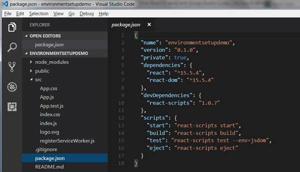 ReactJS package.json
