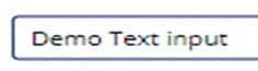 Demo text input