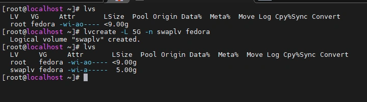 Logical Volume for SWAP