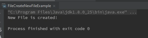 FileCreateNewFileExample