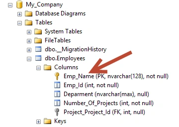 Database