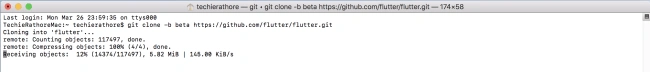 Flutter