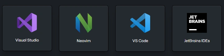 GitHub CoPilot IDEs