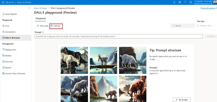 Images with Azure OpenAI DALL-E