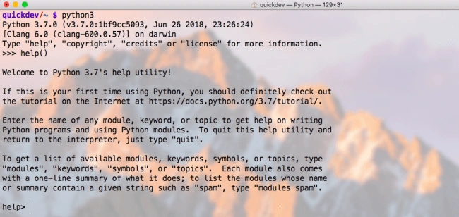 Python Interpreter