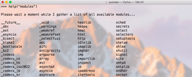 Python Interpreter